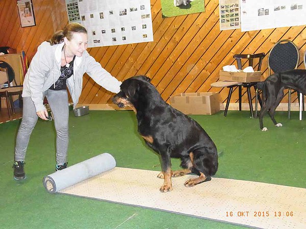 med_Azat - geht doch.jpg (600 x 450)